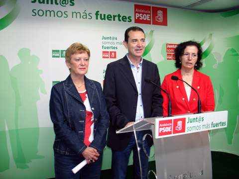 El PSOE de Almera pide al Gobierno que mejore la lnea con Linares-Baeza para que siga siendo competitiva