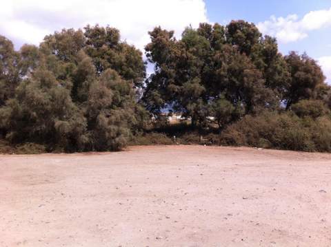 La Junta de Andaluca ha recogido ms de 3.000 kilos de residuos urbanos del paraje de El Perdigal, en Almera