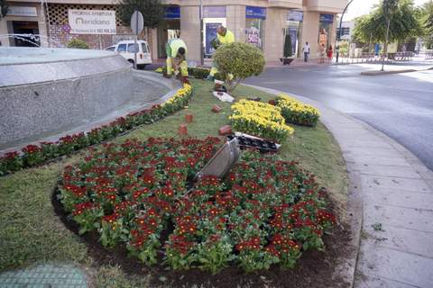 El Ayuntamiento dibuja cuatro banderas de Espaa con 6.200 flores con motivo  del Da de la Hispanidad