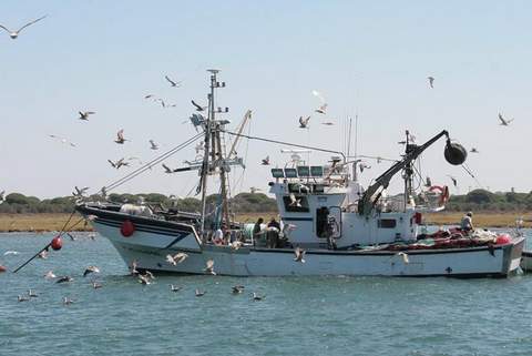 Abierto el plazo para solicitar ayudas dirigidas a mejoras estructurales y modernizacin del sector pesquero