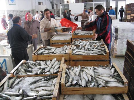 Otorgada a la Asociacin de Productores Pesqueros de Adra la explotacin de la lonja por diez aos ms