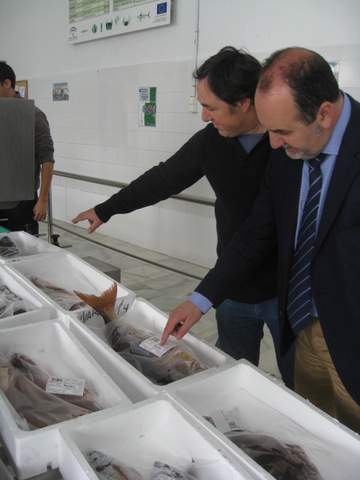 El desembarco de productos pesqueros se incrementa un 87% en las lonjas de Almera entre enero y marzo