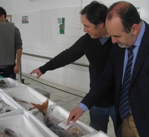 Almera export hasta febrero pescado fresco valorado en un milln de euros, un 15% ms que en el ao 2013
