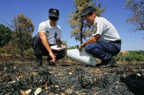 La Polica de la Junta imputa a dos personas como presuntos autores de sendos incendios forestales en Bdar y Olula del Ro