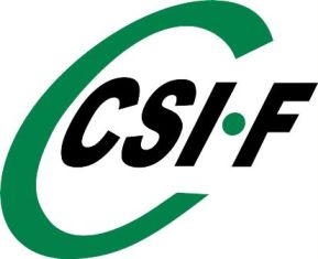 CSIF denuncia que un subinspector de la Polica Local, con una minusvala, sea obligado a realizar tareas operativas