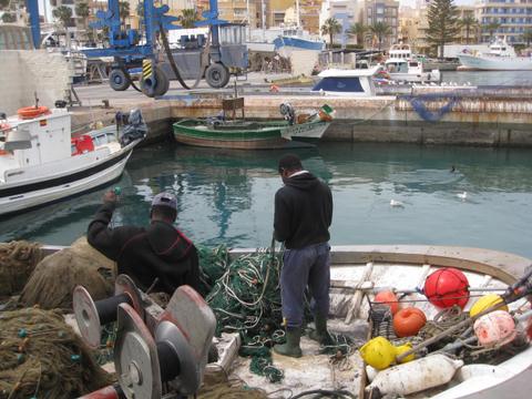 Almera incrementa un 40% el valor de las exportaciones de pescado y molusco frescos entre enero y abril