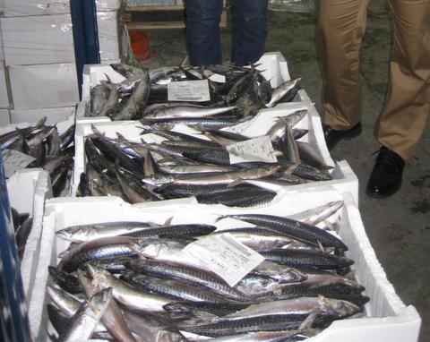 La flota de la provincia desembarc en el primer semestre 3 millones de kilos de pescado, un 41% ms que en 2013