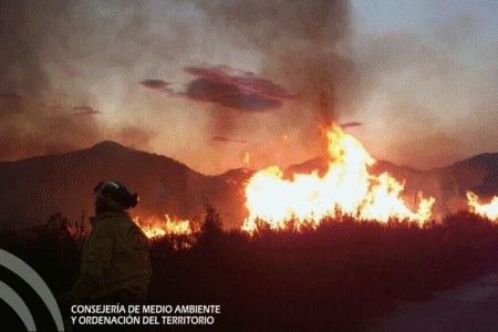 La Unidad de Polica adscrita a la Junta ha esclarecido todos los incendios forestales que ha investigado este ao en Almera