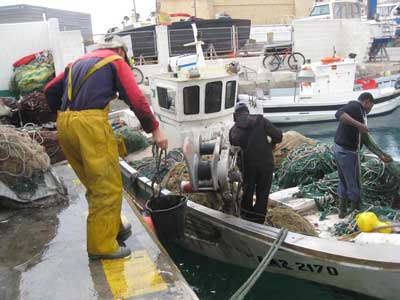 Almería incrementa un 26,7% el valor de las exportaciones de pescado y molusco frescos, entre enero y julio