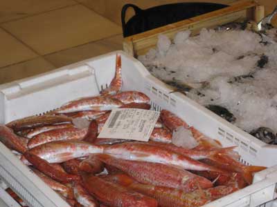 Las capturas de pescado de Almería hasta octubre ascienden a 20,38 millones de euros, un 20% más que en 2013