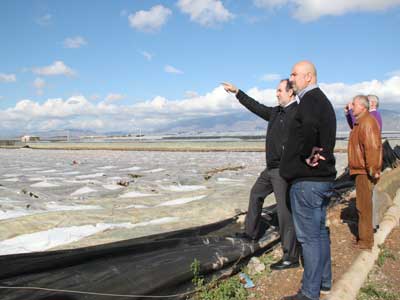 El PSOE de El Ejido muestra su apoyo a los afectados por la tormenta de anoche en San Agustn