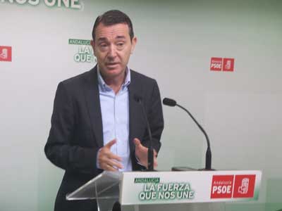 El PSOE afirma que los almerienses entendern la visita de Pastor como electoral y castigarn el olvido del PP