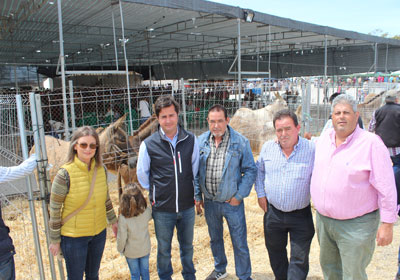 Finaliza con gran xito la IV Feria del Ganado con la exhibicin de ms de medio centenar de distintas especies animales 