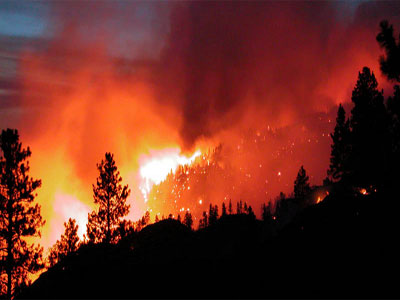 Se buscan 700.000 vigilantes forestales para luchar contra los incendios en Almera