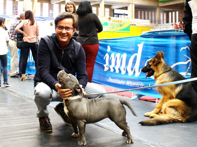 La V Exposicin Canina Internacional ha convertido hoy a El Ejido en la capital mundial de la cinofilia 