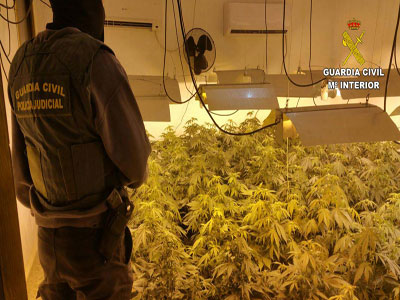 La Guardia Civil desmantela un segundo grupo dedicado al cultivo de marihuana con plantaciones indoor