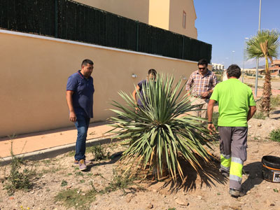 El Ayuntamiento de Zurgena comienza la plantacin 218 rboles en el municipio