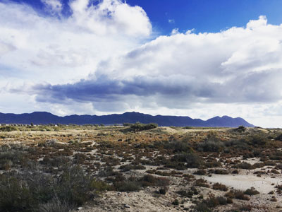 Noticia de Almera 24h: La Junta dedica la tercera ruta del programa Geoparque de  Invierno a los Artales de Las Amoladeras