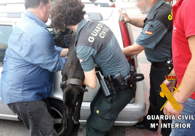 La Guardia Civil auxilia a un perro de la raza Gallicus Canis que se asfixiaba en el interior de un maletero