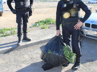La Polica Nacional incauta 40 kilogramos de marihuana en una vivienda de El Ejido