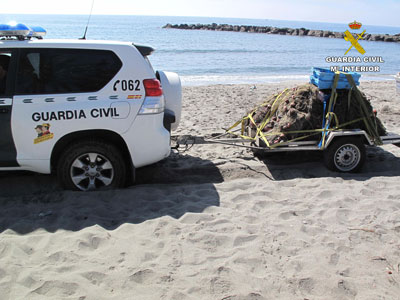 La Guardia Civil interviene ms de 500 Kg. de pescado y 75 paos de redes de trasmallo en dos actuaciones diferentes