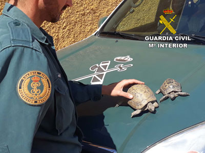 La Guardia Civil detiene a la autora de un delito relativo a la proteccin de flora, fauna y animales domsticos 