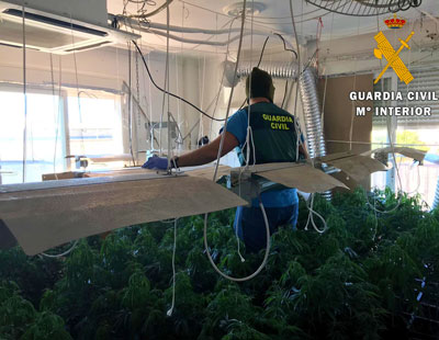 La Guardia Civil detiene a una persona que tena una plantacin de marihuana en la vivienda en la que habitaba con su hijo menor de edad 