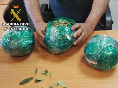La Guardia Civil interviene en el aeropuerto de la capital ms de 3 kilos de hojas de coca 