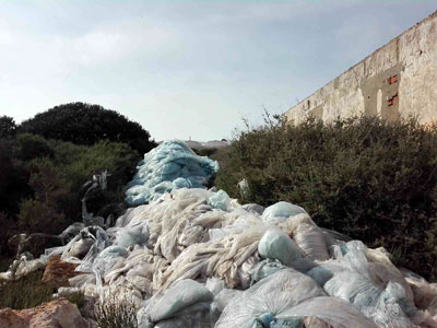 Retiran 25.000 kilos de plsticos en la jornada de limpieza de APROA y Coexphal