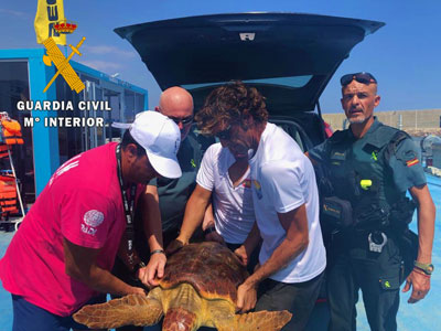 La Guardia Civil auxilia una tortuga boba (Caretta caretta) recuperada tras quedar enredada en una red y plsticos en Garrucha