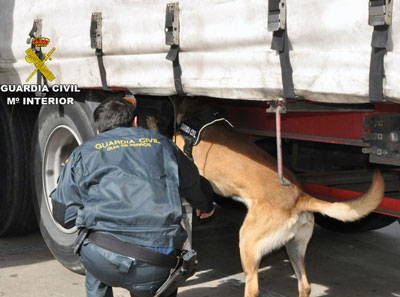 La Guardia Civil auxilia en el Puerto de Almera a dos personas que viajan ocultos en camiones 