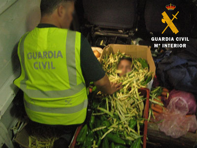 La Guardia Civil auxilia en el Puerto de Almera a una persona que viajaba oculta en una caja de hortalizas