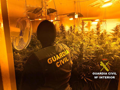 Dos detenidos por cultivar 171 plantas de marihuana en una vivienda blindada al exterior