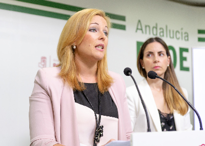 El PSOE de Adra lamenta que PP y Cs hayan aprobado un presupuesto opaco y que es un corta y pega del de 2015