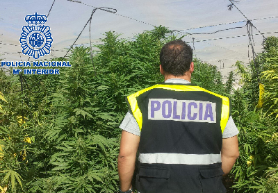 La polica Nacional salda 2019 con 244 detenidos por trfico de drogas y ms de tres toneladas de marihuana incautadas