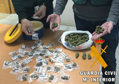 Desmantelan un activo punto de venta de droga que esconda 106 plantas de marihuana en Roquetas de Mar