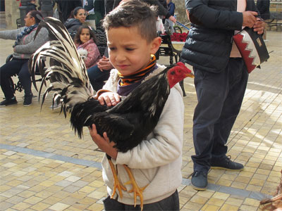 Vera celebra su tradicional y multitudinaria Fiesta de San Antn 