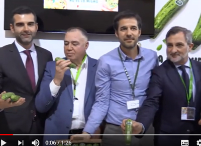 Noticia de Almería 24h: El ayuntamiento respalda la agricultura Almeriense en Fruit Logística 2020