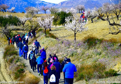 Noticia de senderismo en Almería 24h: La flor rosa de la Almendra Marcona será la gran protagonista la XII Ruta de los Almendros en Flor