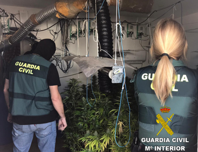 La Guardia Civil localiza una plantacin Indoor de marihuana con 232 plantas y neutraliza 6 enganches ilegales a la red elctrica