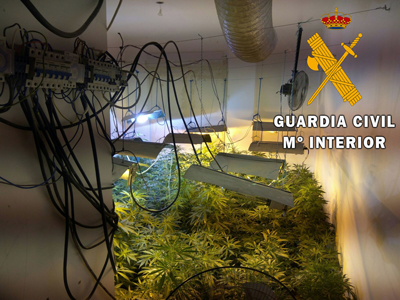 La Guardia Civil localiza una plantacin Indoor de marihuana con 91 plantas en el centro de Roquetas de Mar 