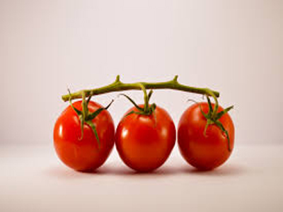 Universidad: La malla de sombreo aumenta los niveles antioxidantes del tomate ecolgico 