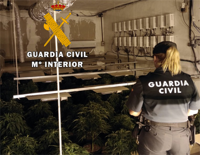 La Guardia Civil detiene al responsable de una plantacin indoor de marihuana con 150 plantas en Roquetas de Mar