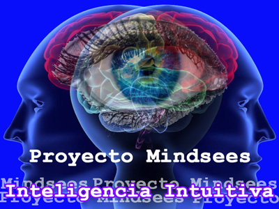 Proyecto Mindsees