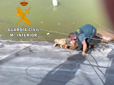 La Guardia Civil auxilia a un perro a punto de ahogarse en una balsa de riego en Vcar  