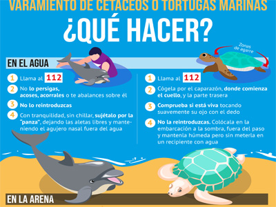 El Ayuntamiento de Roquetas de Mar indica cmo actuar ante el varamiento de un cetceo o tortuga marina