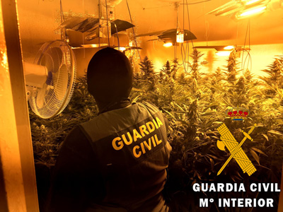 La Guardia Civil localiza una plantacin Indoor de marihuana con 121 plantas en Roquetas de Mar