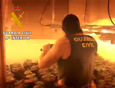 La Guardia Civil interviene por segunda vez un cultivo de marihuana en la misma vivienda ocupada en Roquetas de Mar
