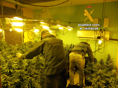 La Guardia Civil detiene a dos personas e interviene una plantacin indoor con ms de 200 plantas de marihuana 