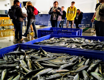 El desembarco de pescado en la Lonja del Puerto de Almería cayó un 5,9% el pasado año